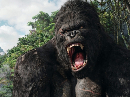 Kong - king kong, fictional, movie, movie monster, gorilla, wallpaper