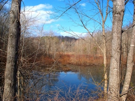 Land Between the Lakes - water, fields, lake, trees