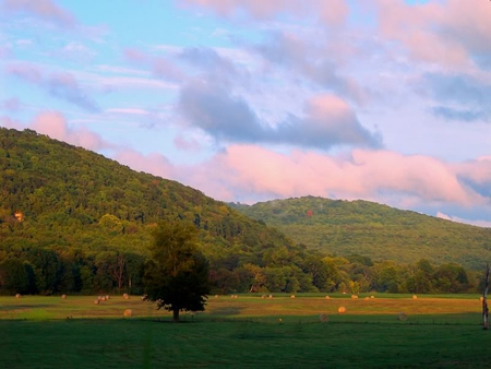 After the Rain - field, sky, tree, mountain