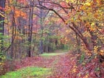 Spring State Park, Ozark Mountain