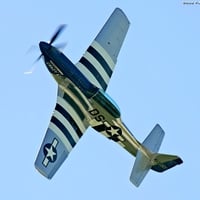 P51 Crazy Horse