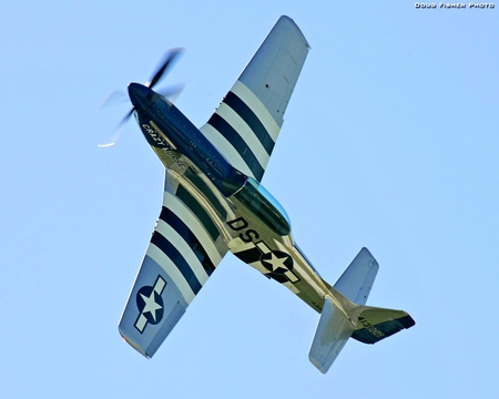 P51 Crazy Horse - north, ww2, american, plane, airplane, antique, p51, world, war, horse, wwii, mustang, crazy, p-51, classic