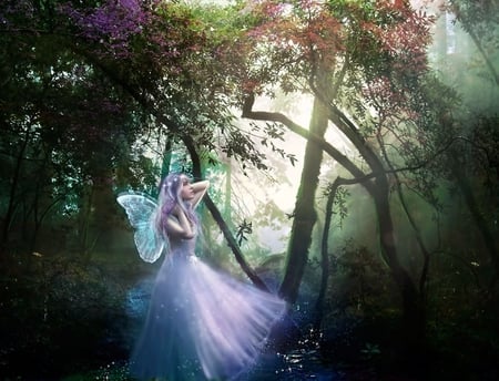 Lost Fairy - nature, fairy, forrest, dark