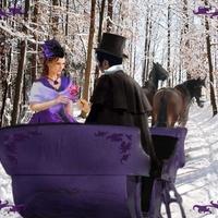 PURPLE SLEIGH