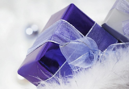 Purple box - purple, holidays, happy holiday, christmas, christmas decor, box, bow, others, gifts, nice, decorations, gift, ribbons, december