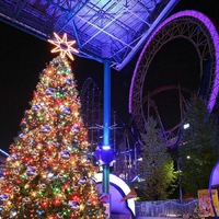 Giant christmas tree