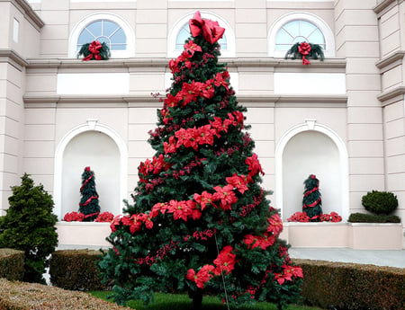 OH CHRISTMAS TREE - decorated, christmas tree, patio, beautiful