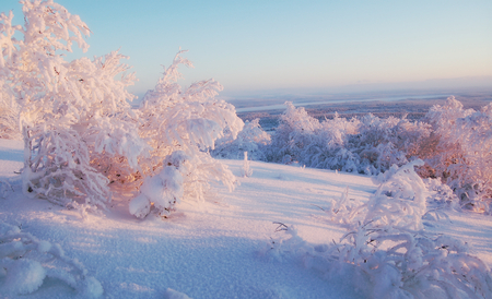 the beauty of snow - white, winter, nature, photography, beauty, pink, sun