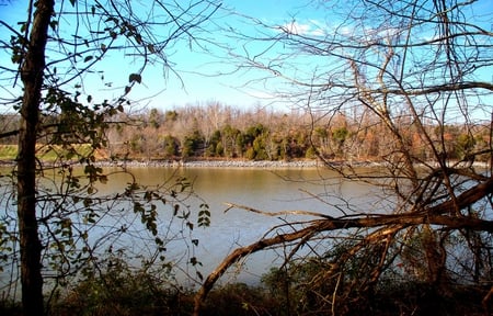 Land Between the Lakes - nature, water, lake, trees