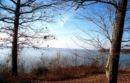 Land Between the Lakes - lake, trees, water, nature