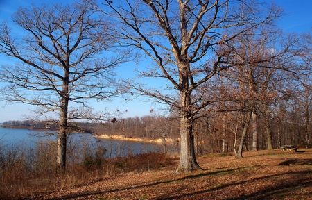 Land Between the Lakes - lake, trees, nature, water