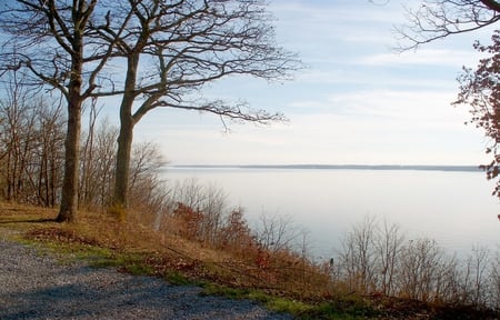 Land Between the Lakes - nature, water, lake, tree