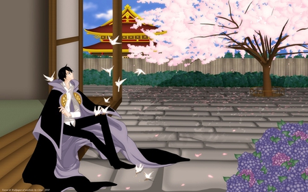 Sakura Peace - bird, anime, cherry blossom, sakura, dove, flower, pink, peace, robe, black, watanushi, purple, history, courtyard, xxxholic