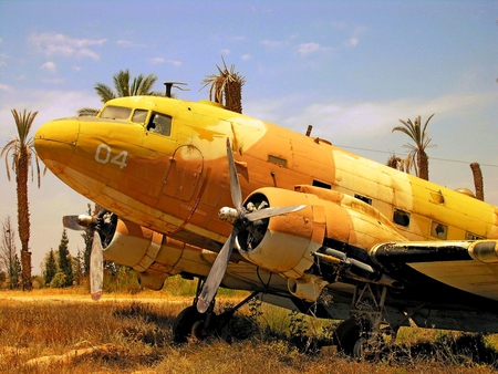 Forgotten Bird - airplane, war, c-47, douglas, plane, world, skytrain, ww2, classic, c47, antique, wwii