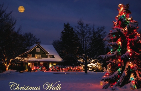 A CHRISTMAS WISH - house, christmas, moon, trees, lights, night, sky