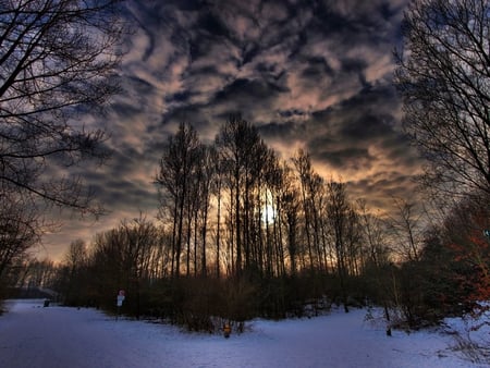 Imaginary Winter - dark clouds, trees, woods, snow, field, signs