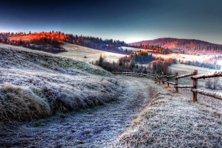 Behind Jack Frost - offroad, morning, frosty, beautiful, field