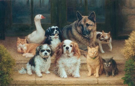 Animal gang. - dog, gang, goose, animal, group, bird