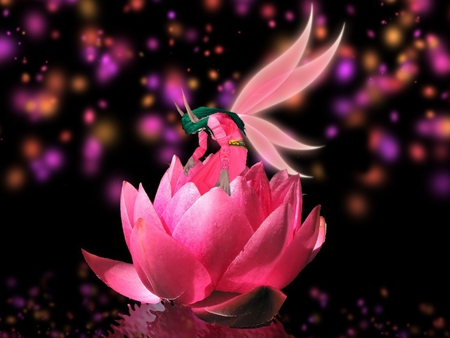 Pink Fantasy Flower  {Abigail23} - abstract, fantasy, fairy, flower, pink, other