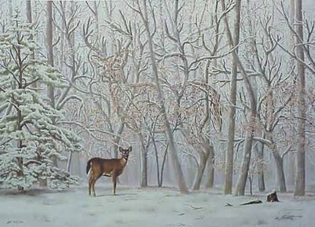 SEE MORE THAN ONE DEER - snow, deers, trees, two