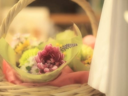 Beautiful and delicate - beauty, soft, delicate, basket, colors, flower