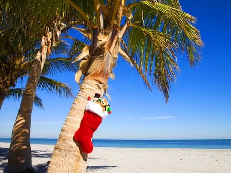 Tropical christmas - sunny, gifts, christmas, holiday, tropical, new year, sands, sun, sky