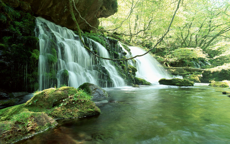 *â–â€ water-falls â€áƒ¦* - nature, water, green, falls