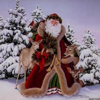 Santa Claus  in Forest