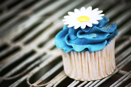 Super yummy happycake - cupcake, blue, food, sweets, flowers, white, yummy, cute, nice, cake