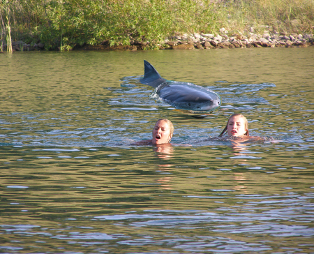 Sharks want to play too. - entertainment, women, lake, shark