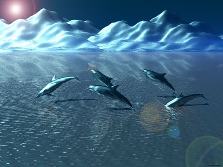 Dolphins - dolphins, 15, picture, 2011, 12