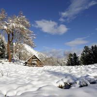 nice winter view