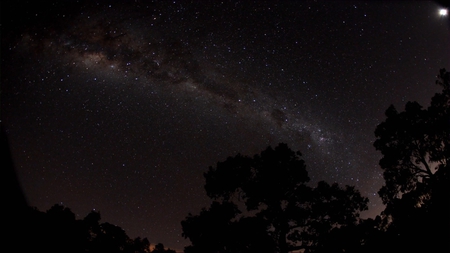 Beautiful night - moon, sky, trees, night, darkness