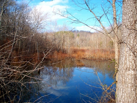 Land Between the Lakes - lake, hills, trees, water