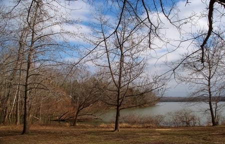 Land Between the Lakes - lake, water, nature, tree