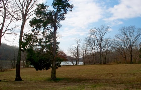 Land Between the Lakes - trees, water, nature, lake, grass, tree, sky