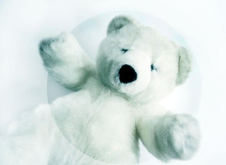 White bear - stuff toys, photography, toys, photo, others, bear, stuff, white, cute, nice, hug