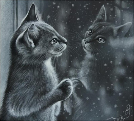 Window as mirror - animal, kitten, window, painting, art, cat