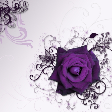 â˜¼Purple Dream Time Roseâ˜¼    4 Beth2shy - nature, abstract, rose, fantasy, other, flower