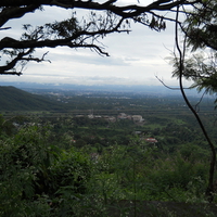 Doon between the trees.