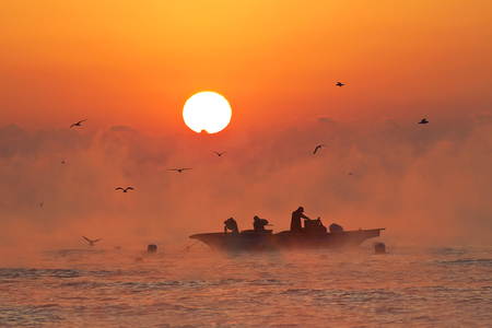 Fishermen - birds, sunset, boat, fishermen, sea, golden