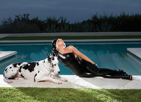 Lady gaga - pretty, icon, photography, fashion, singer, dog, photo, pool, nice, famous, sexy, animals