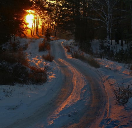 winter road - winter, sunset, nature, road, forest, sun