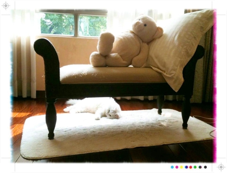 Leisurely cat - leisurely, teddy bear, cat, living room