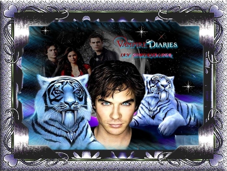 IAN SOMERHALDER - actors, people, 2012, frame, god, ian somerhalder, tiger, christmas, merry christmas, happy holidays