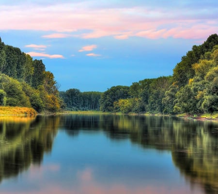 The Calm Lake - beautiful, lake, tree, calm