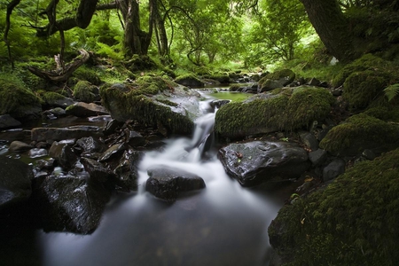 The Flow Of The Calm River