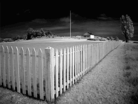 Long White Fence - white, house, tree, fence