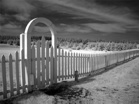 The Gateway Entrance - white, sky, fence, snow