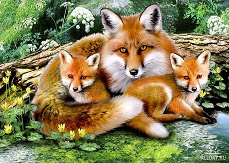 By Howard Robinson - fox, painting, howard robinson, wildlife, art, animals, cute